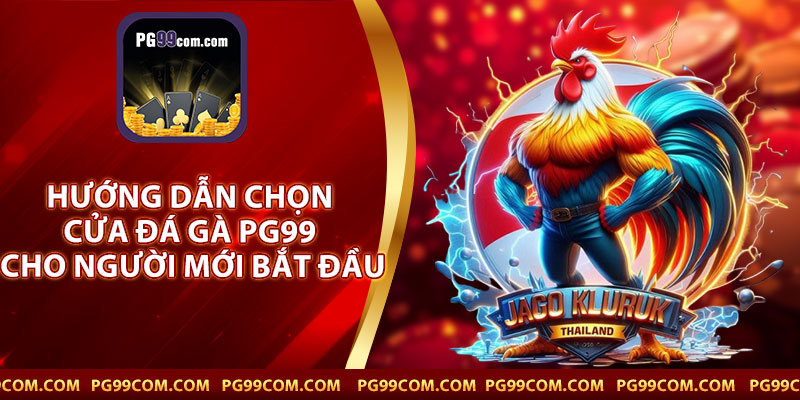 Hướng Dẫn Chọn Cửa Đá Gà PG99 Cho Người Mới Bắt Đầu