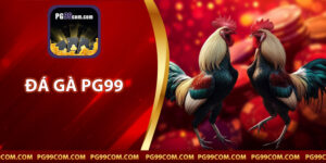 Đá Gà PG99