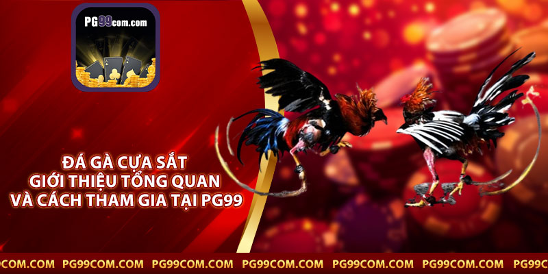 Đá Gà Cựa Sắt – Giới Thiệu Tổng Quan Và Cách Tham Gia Tại PG99