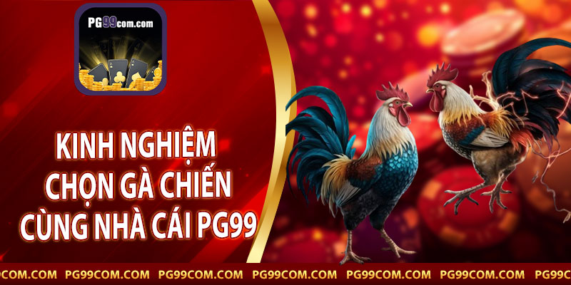 kinh nghiệm chọn gà chiến cùng nhà cái PG99